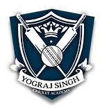 ys ca logo new.png